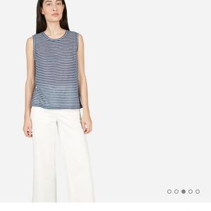 Everlane Linen Stripe Muscle Tank